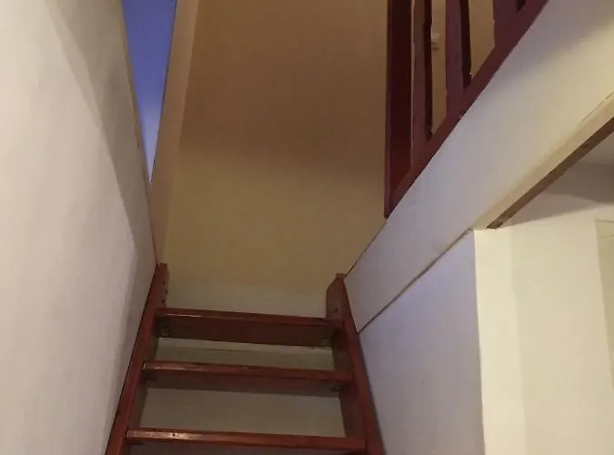 La Pomme De Nuit بايو