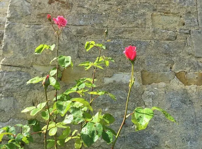 静夜住宿加早餐旅馆 住宿加早餐酒店